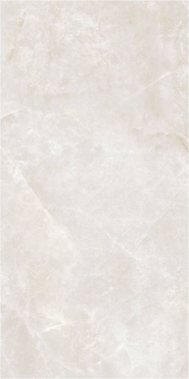 OL Taj Mahal Cream Matte 12 x 24